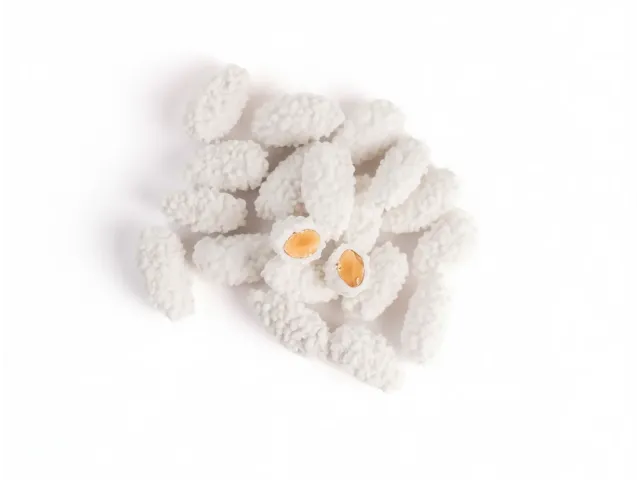 Confetto Riccio con Mandorla californiana tostata 2